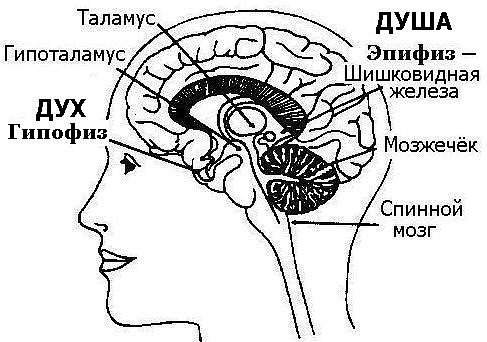 i.jpg.cf292ebe081166d25269b6a809b3637a.jpg